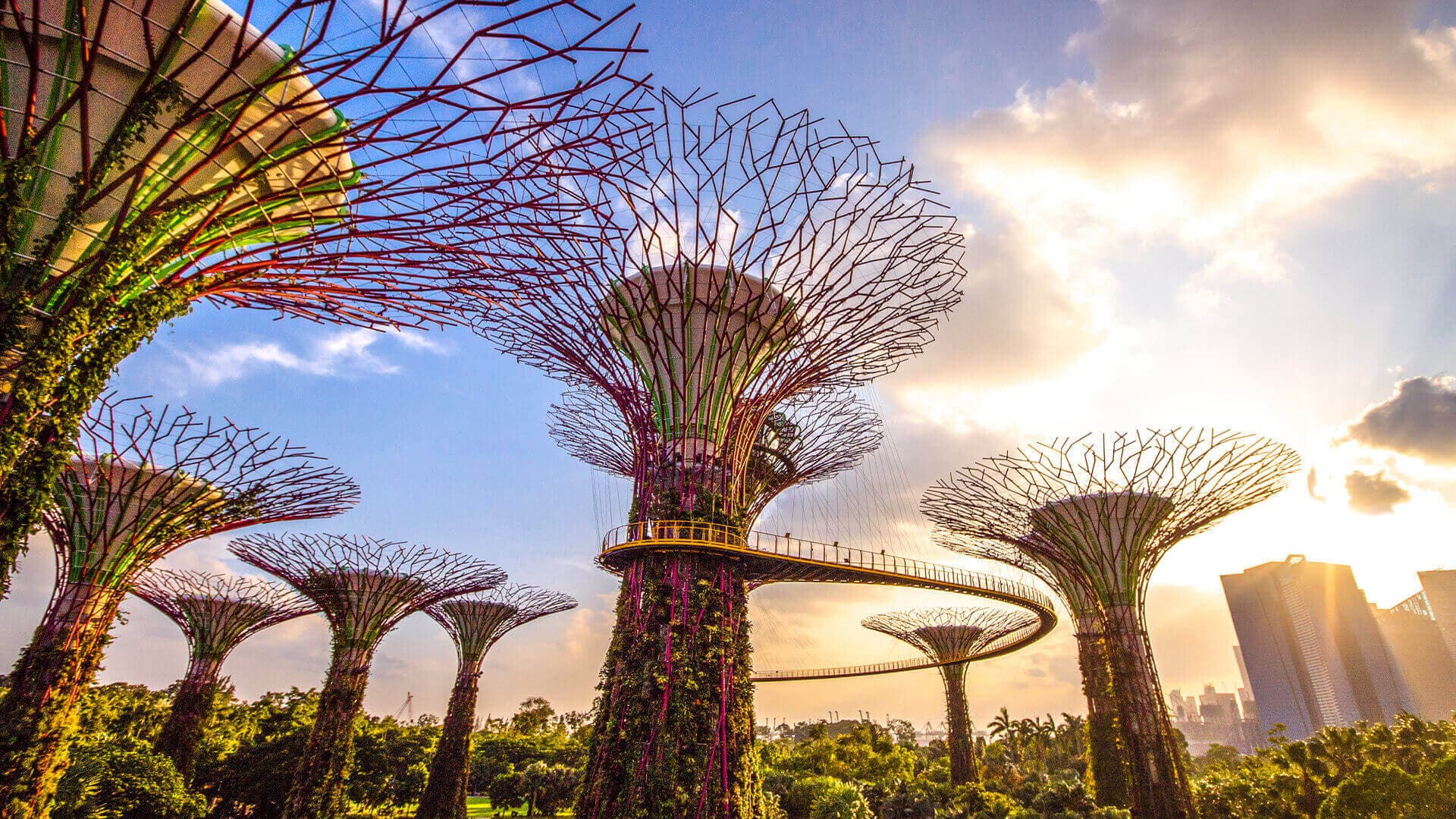 Gardens by the Bay — Mid-Autumn